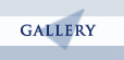 Gallery Button