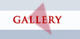 Gallery Button