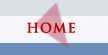 Home Button