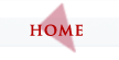 Home Button